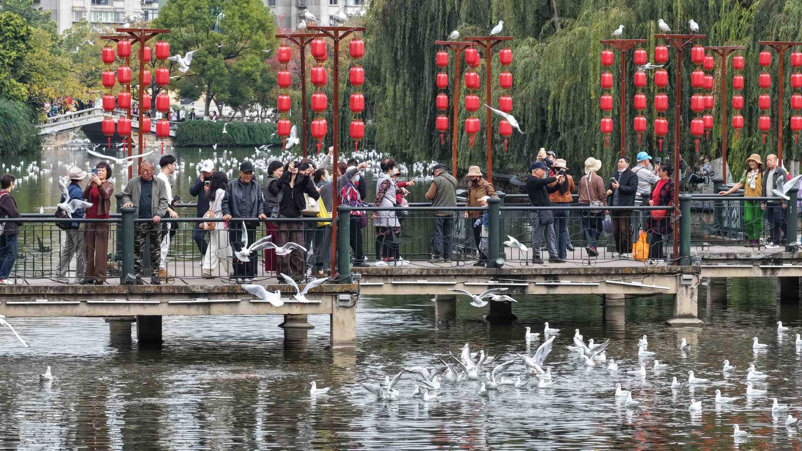 【开屏早知道】好消息！你的下一颗钻石，可能来自云南弥勒