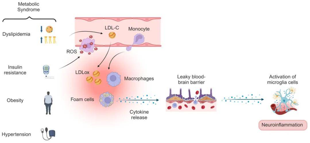 炎症和代谢生物标志物与成人常见精神障碍之间的关系：2015年巴西圣保罗市健康调查