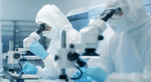 2025健康研究白皮书：能量节律科学重塑男性生理系统