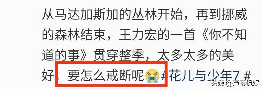 原创            《花少7》播出效果到底怎么样？不看数据光看导演就知道答案