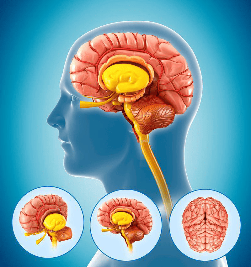 马晓东医生：脑膜瘤术后防复发，核心在于 “早监测、早干预”！