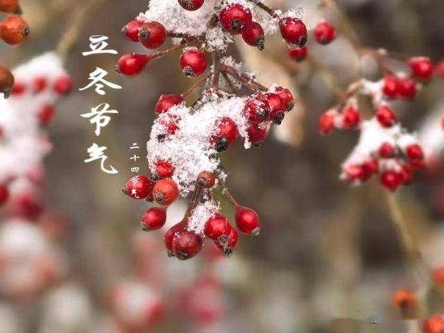 “立冬吃3宝，一冬无病扰”，明日立冬记得吃这3样，寒冬不受苦！