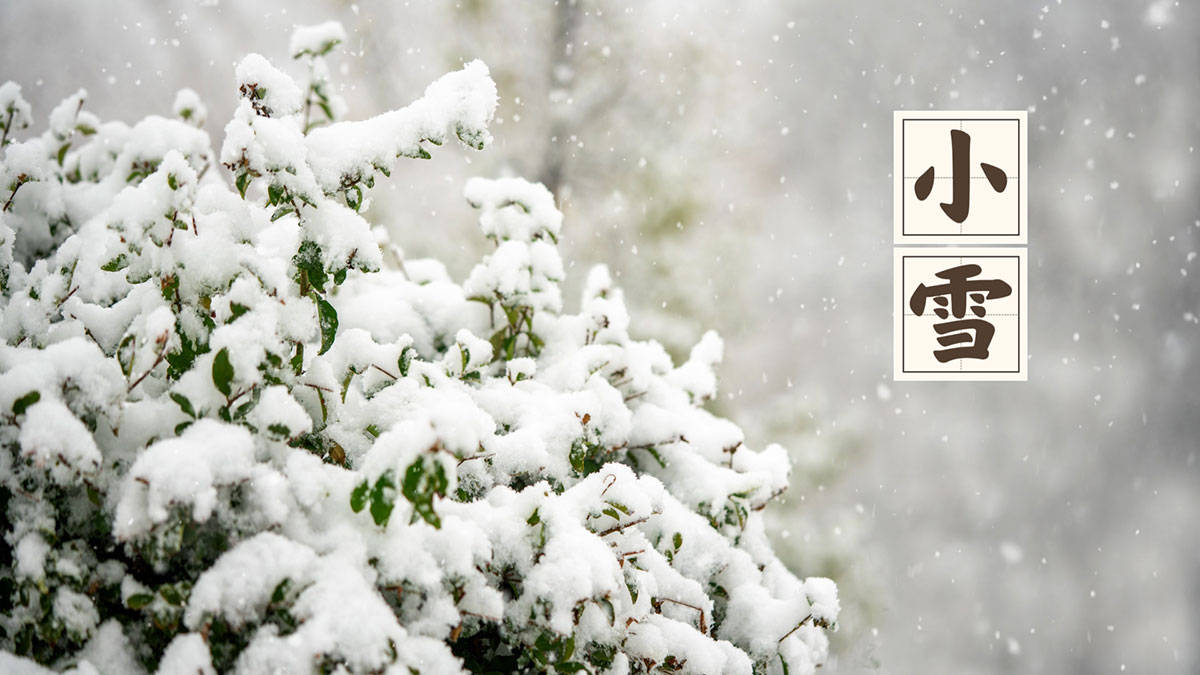 原创            “小雪不除湿，寒冬百病扰”，明日小雪，多吃这4样，除寒湿护阳气，提升抗寒能力，轻松温暖过冬