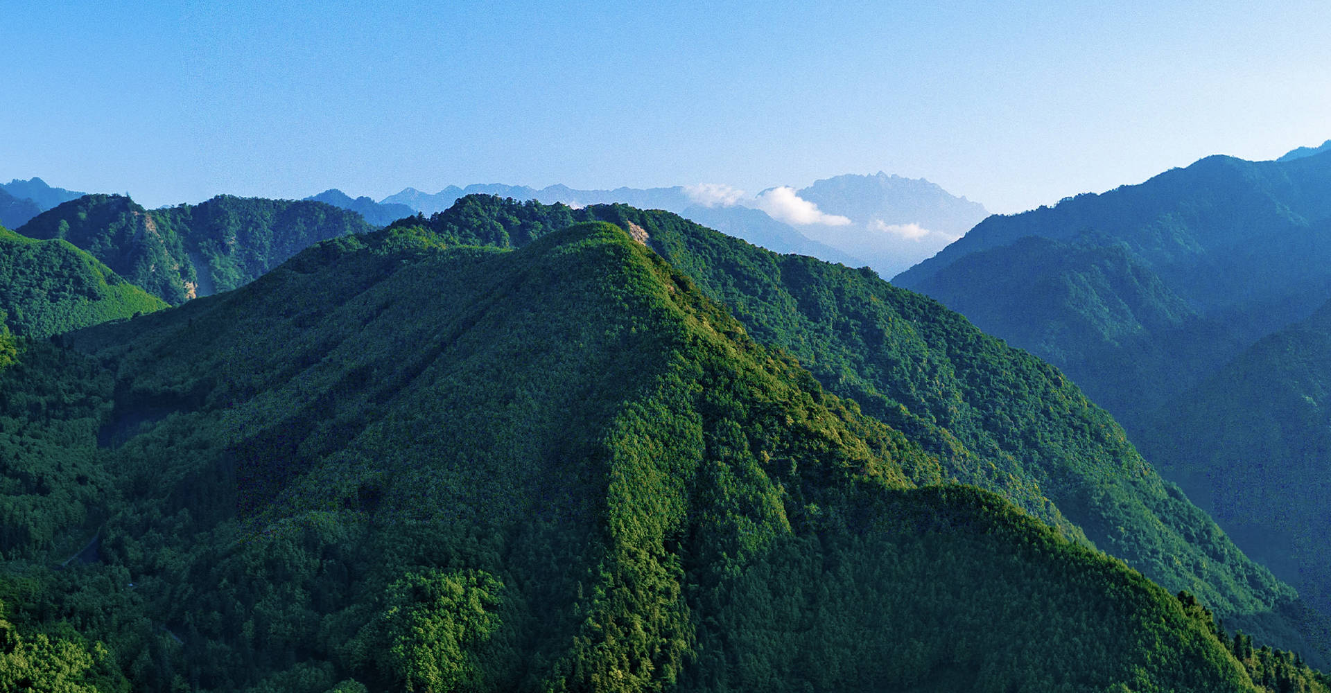 青少年骨骼发育，选天然水还是纯净水更有益？