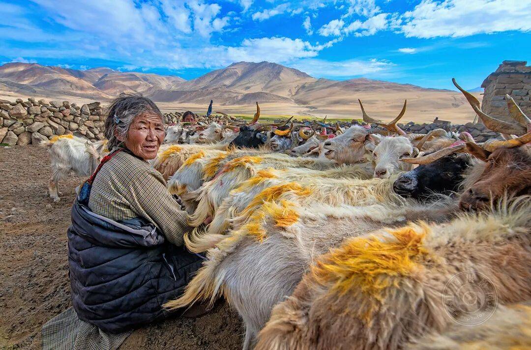 揭晓 | 2025年第十四届台中国际摄影艺术展（聚焦世界组）获奖公布