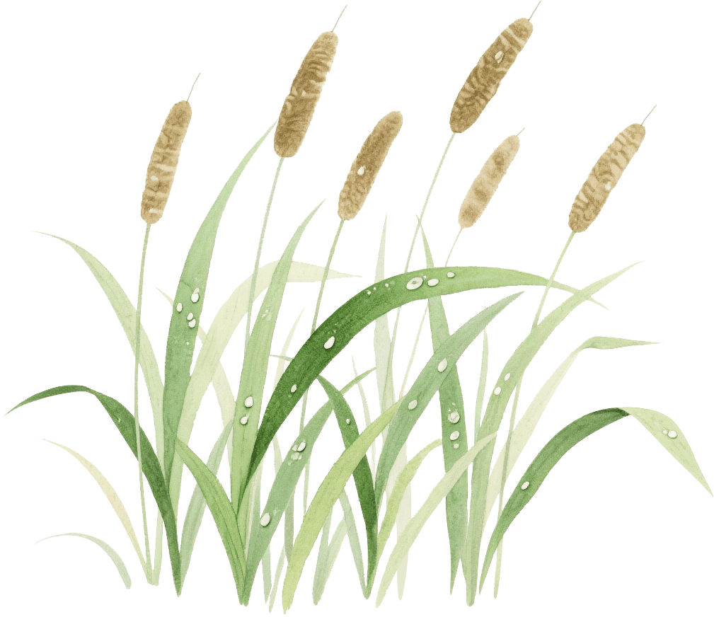 新书推荐｜传记特辑：追古思今，怀诚践行