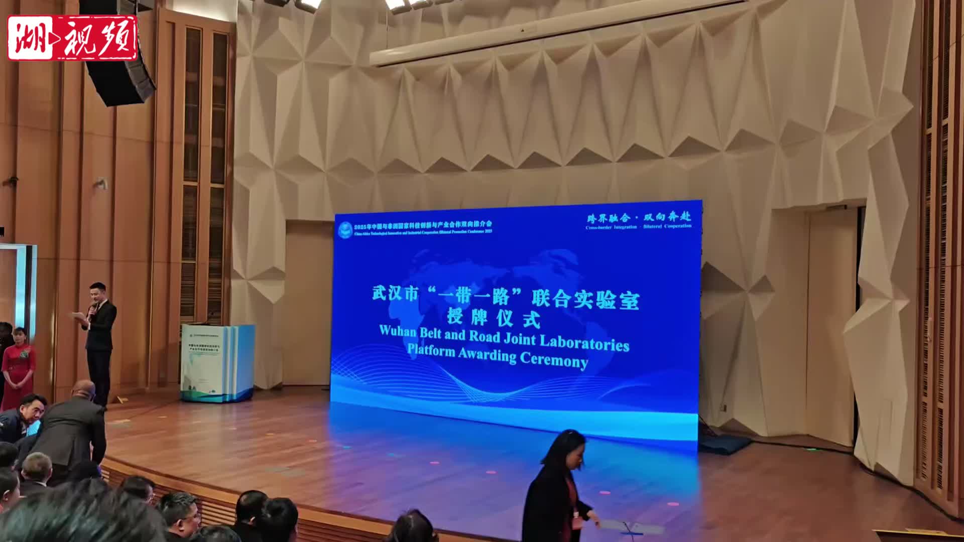 【聚焦2025中非创新合作与发展论坛】双向奔赴！中非科技产业双向推介会在汉举行