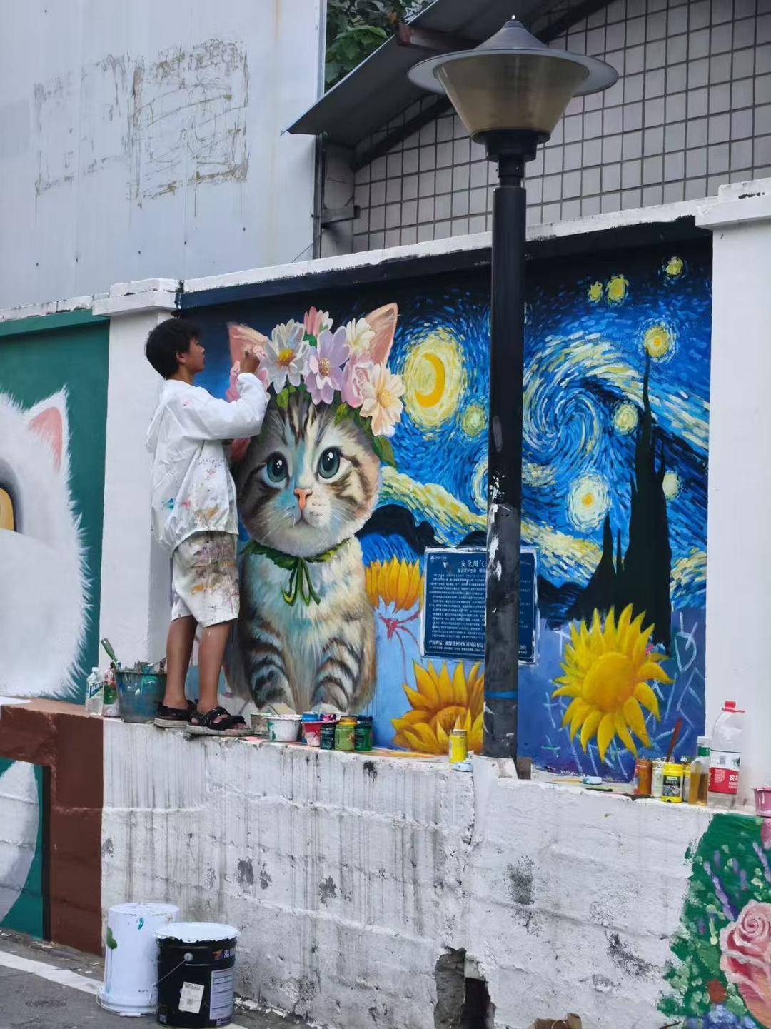 绵阳猫咪墙绘爆红 有人骑行50公里打卡 画师阿伟：梦想是巡游全国绘画