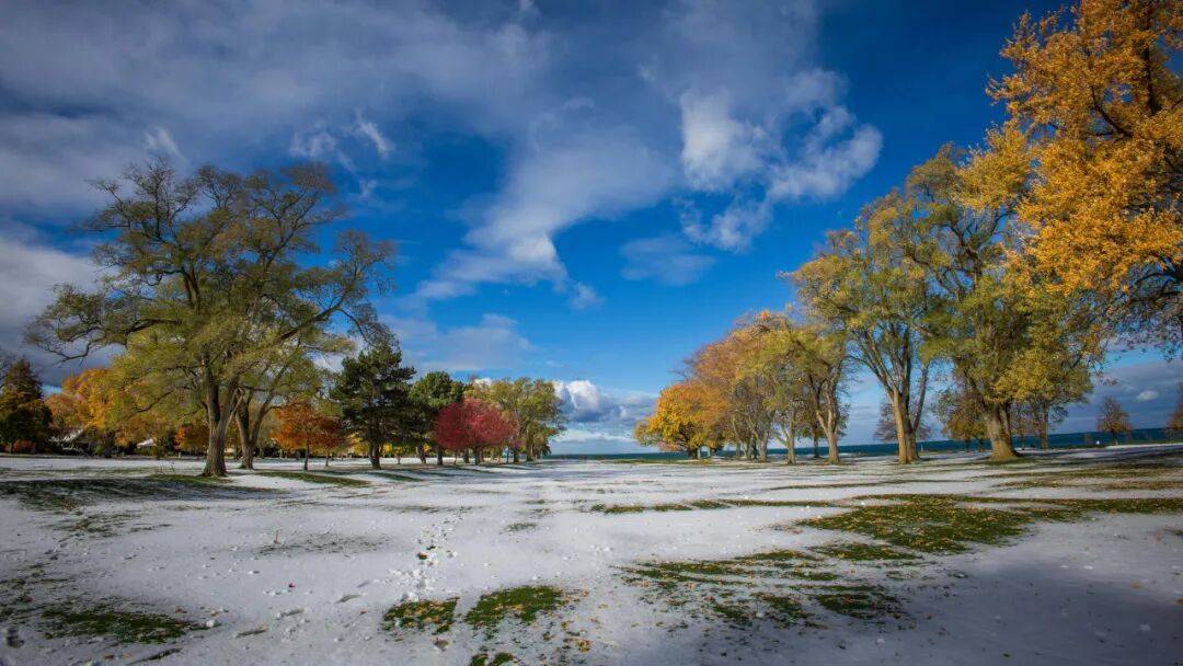 Android应用程序开发（第4版）：知识产权 | 文末送畅销书籍