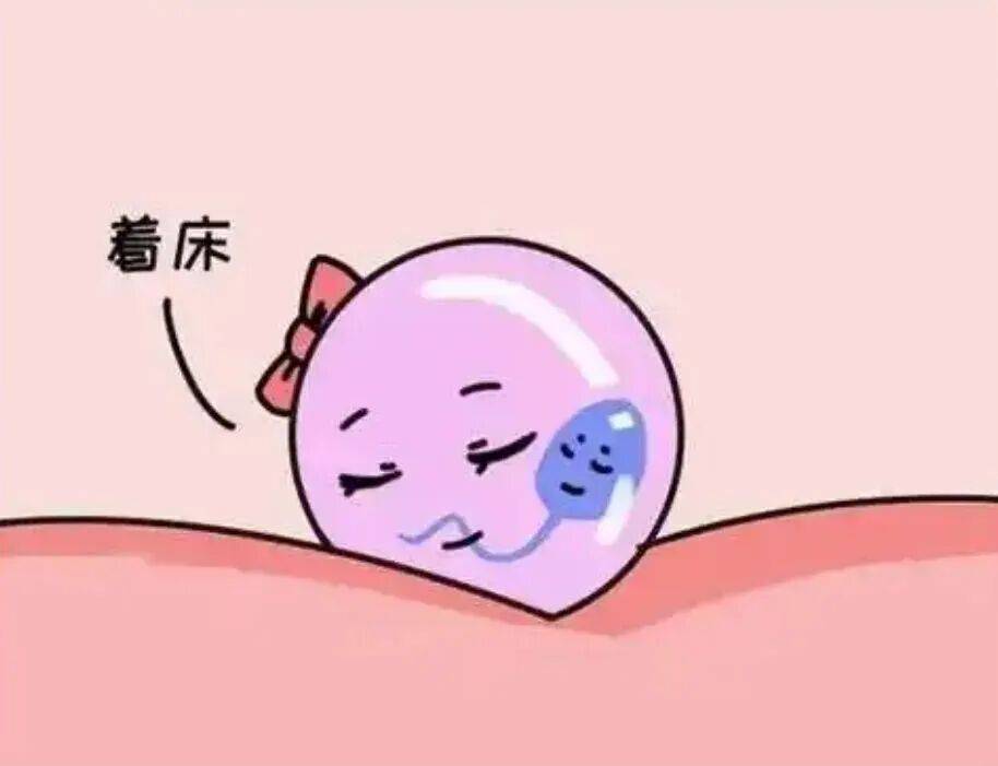 宫外孕：那些“迷路”的受精卵