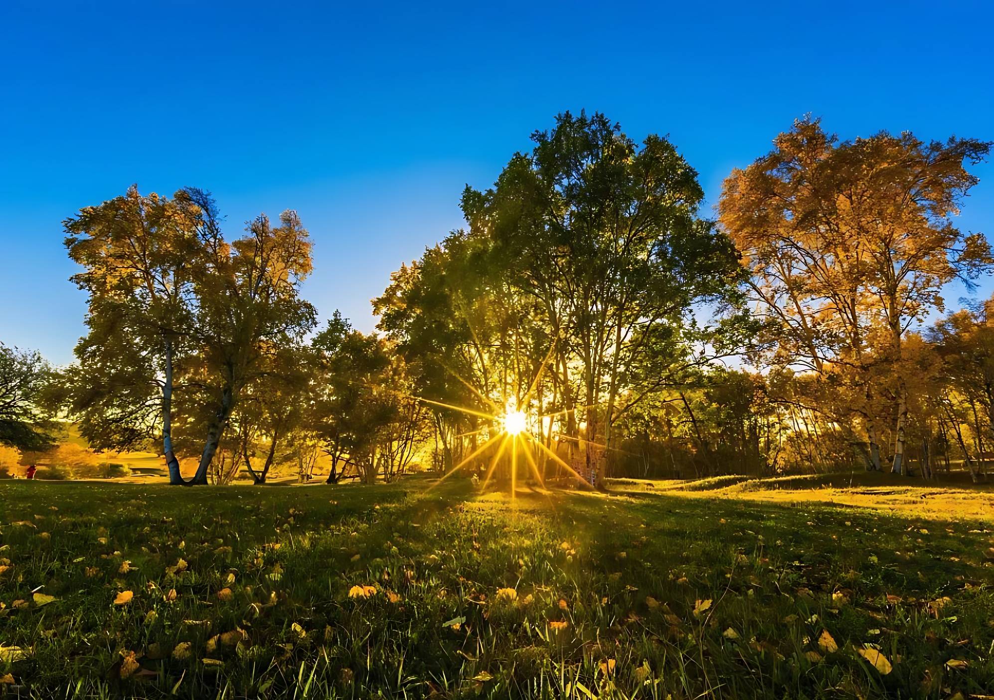 莫让“非此即彼”困住高校食堂的服务升级