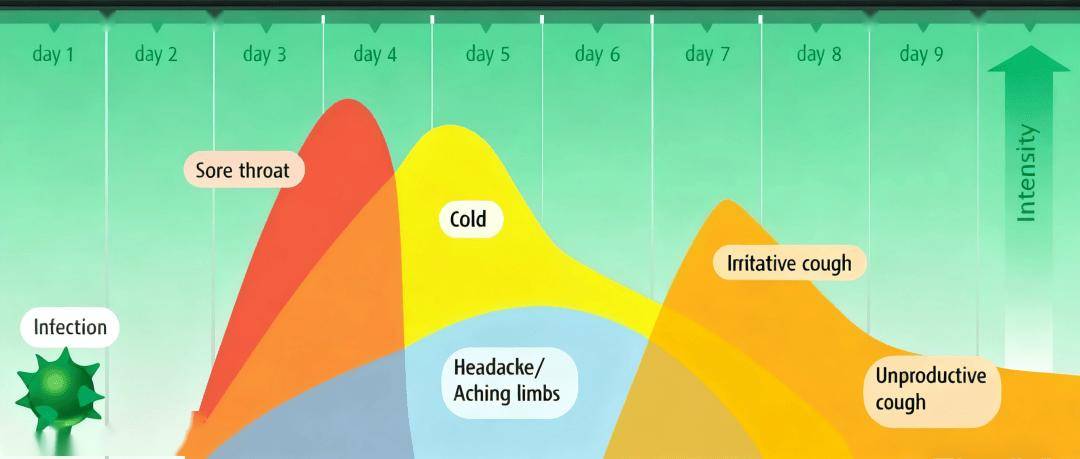 每次感冒都从喉咙痛开始，有啥办法一疼就把病压下去？