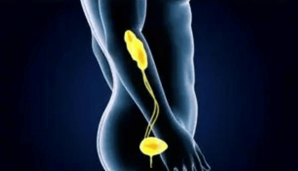 40岁男人凌晨三点被尿憋醒 前列腺困扰的深夜自白 中年健康警醒录