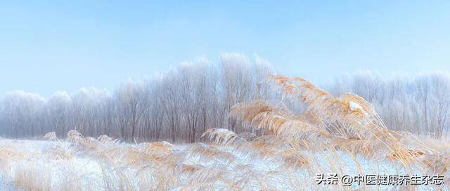 小雪养生重在 “藏”