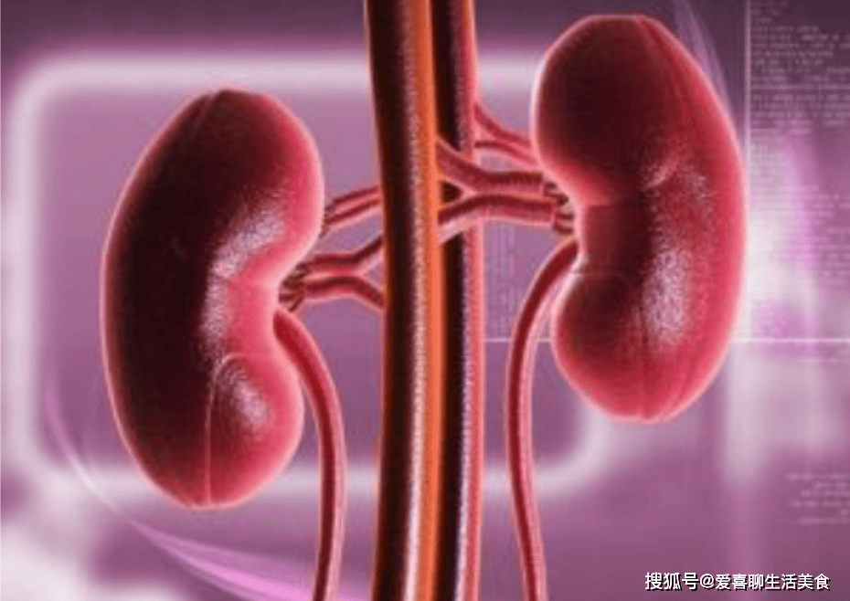 原创            对肾特别好的5种美味，建议入冬后要多吃，人人吃得起，别不懂吃！