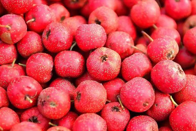 原创            山楂被关注！医生告诫：高血脂患者吃山楂时，要谨记这5个事项