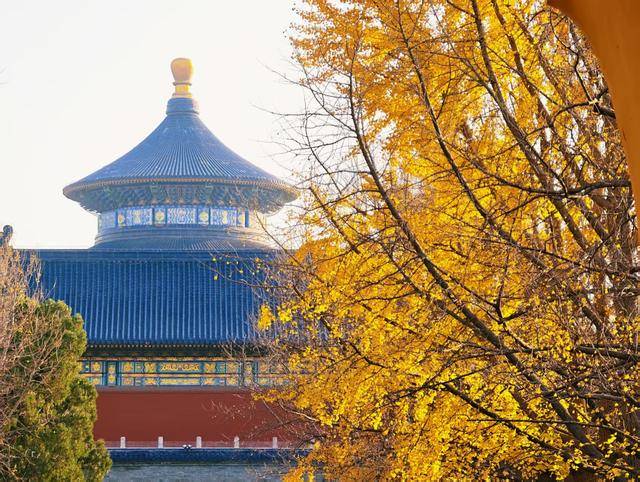 北京秋景如油画，步步惹人醉