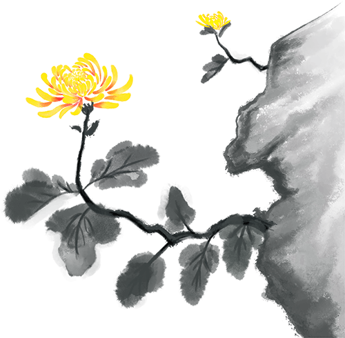 唐诗鉴赏：《菊花》