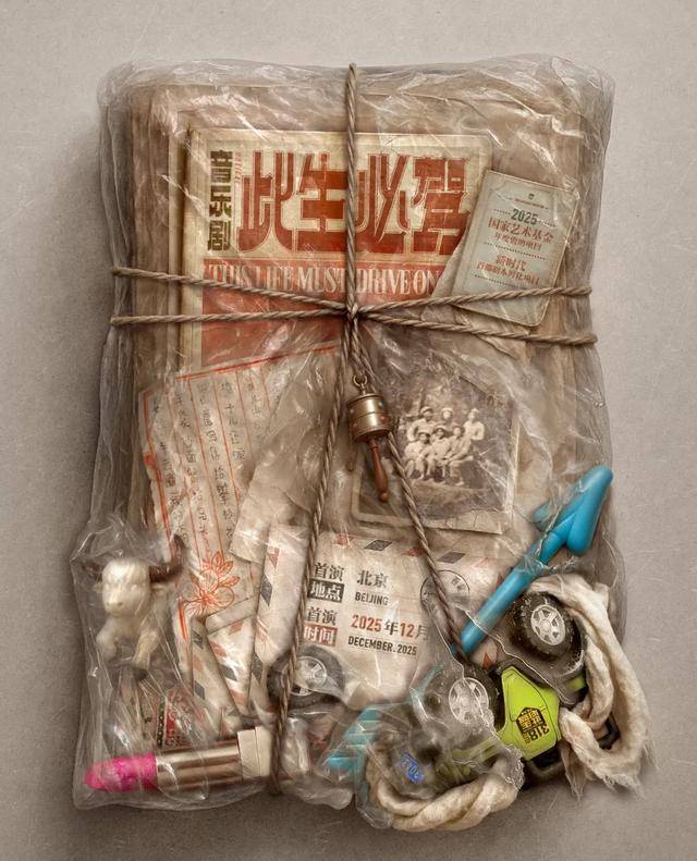 《此生必驾》发布会，谭维维脸肿、江珊自然老去、丁真主动让C位