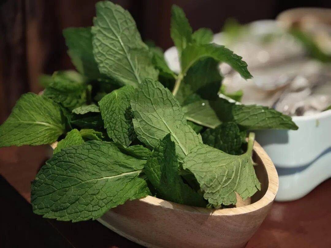 【健康夏津】科学家评出5大“抗氧化王者”食物！很多人都吃错了，尤其是第3个