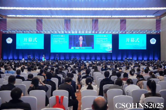 民生耳鼻喉（郑州院区）刘红勇主任受邀在国家级学术会作论文发言