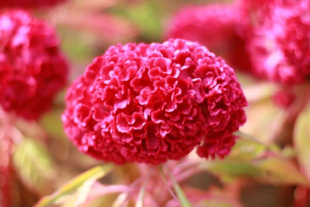 心理音乐及气功欢乐弹唱疗郁疾