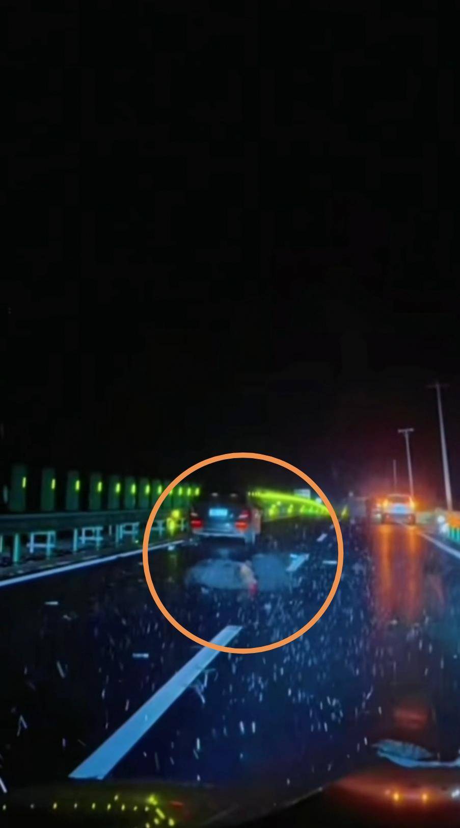 吉林女子驾车不慎撞死一头黑熊，交警称驾驶员没事且不涉及处罚，律师：意外撞死野生保护动物无需担责