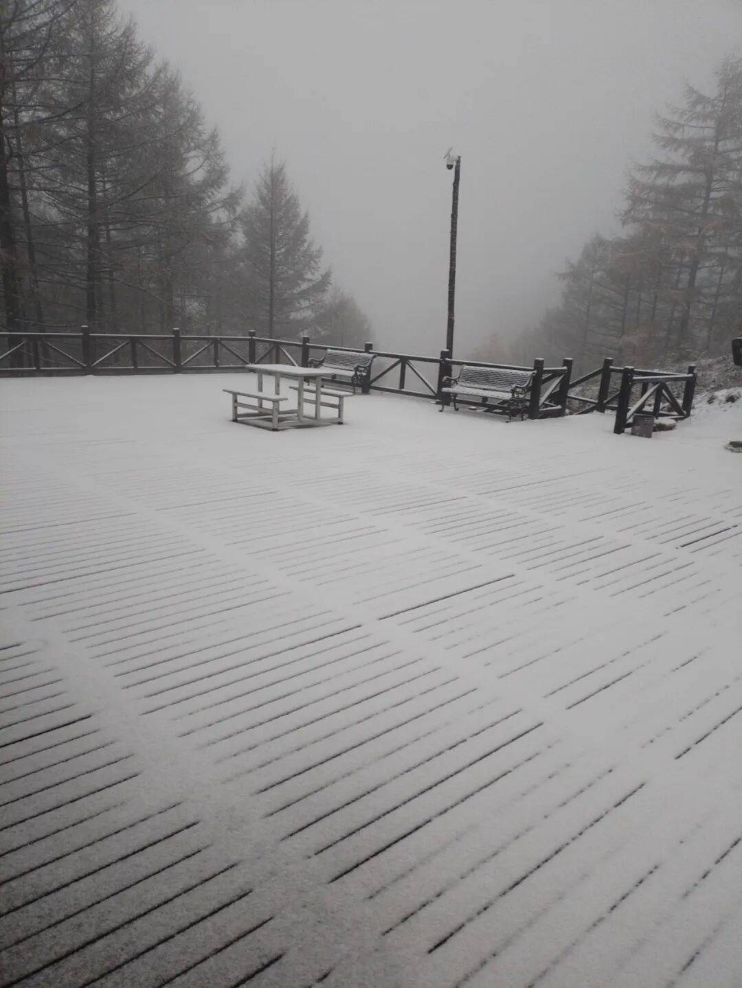 石家庄下雪了！河北将迎中到大雪，未来三天……