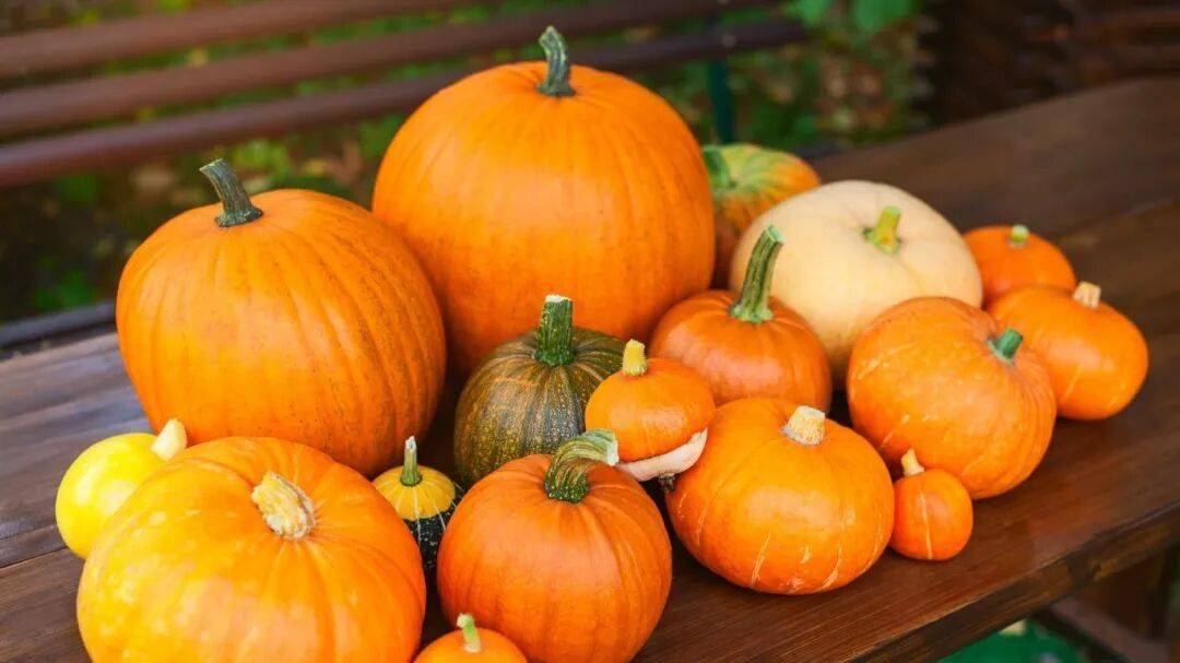 厨房里藏着一个癌友康复的“黄金瓜”，可以在家中常备