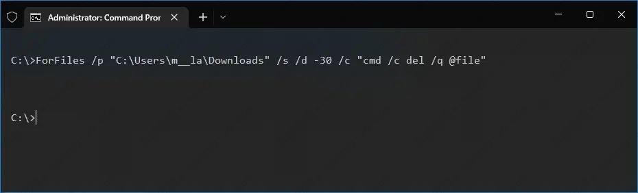 如何在Windows 10上自动删除超过 X 天的文件？