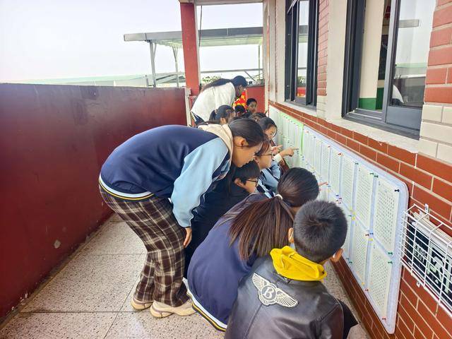 济源：轵城镇中王小学开展硬笔书法月竞写展示活动