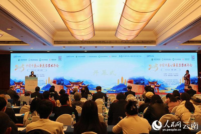 专家学者共探中医心身诊疗融合与创新