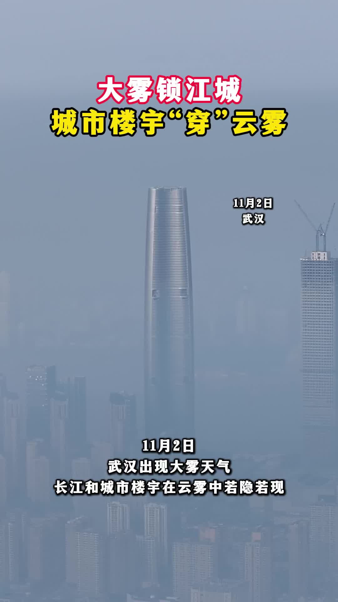 大雾锁江城 楼宇“穿”云雾