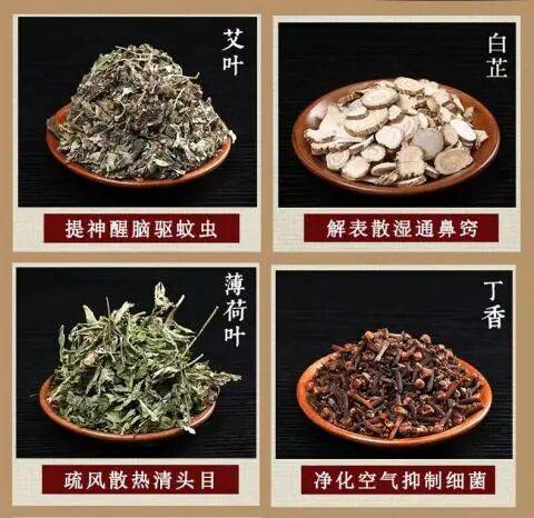 支招 | 岭南立冬蚊扰人？中医妙招助您安稳度“暖冬”→