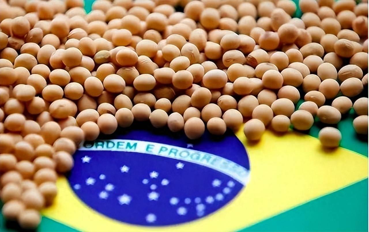 200万吨大豆烂港！巴西主动降价，中国转头下单三船美国大豆，巴西自食其果了