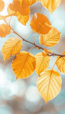 【朝医科普】切口疝——腹部术后患者需了解的风险隐患