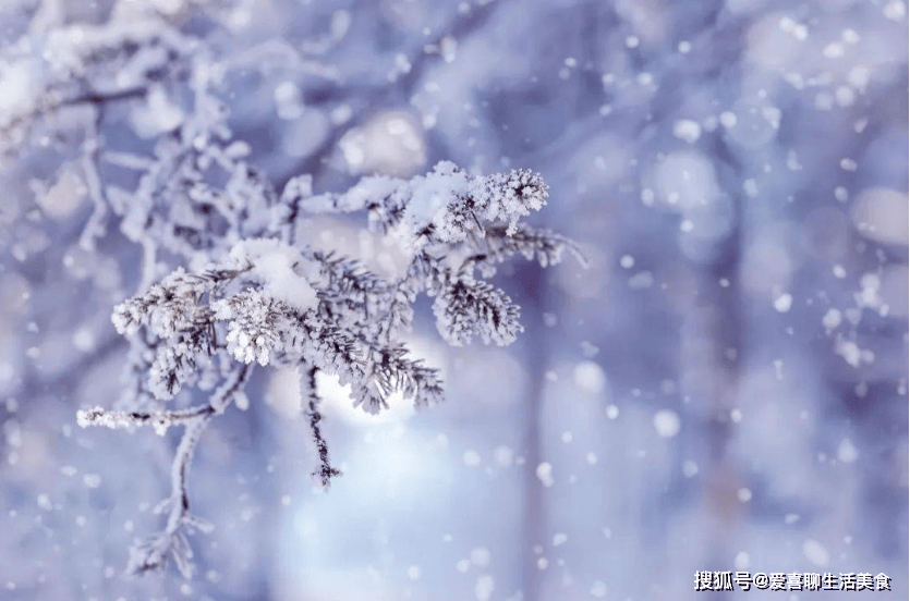 原创            小雪将至，少吃土豆和芋头，多吃5种冠军菜，补足营养，强身健体！