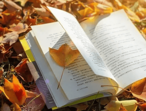 把琐碎时光，喂给书籍呀～