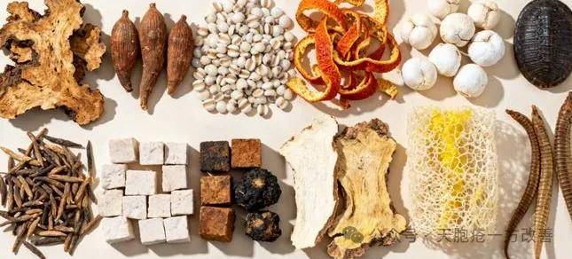 天疱疮患者的福音：健脾祛湿方剂，重建皮肤健康屏障