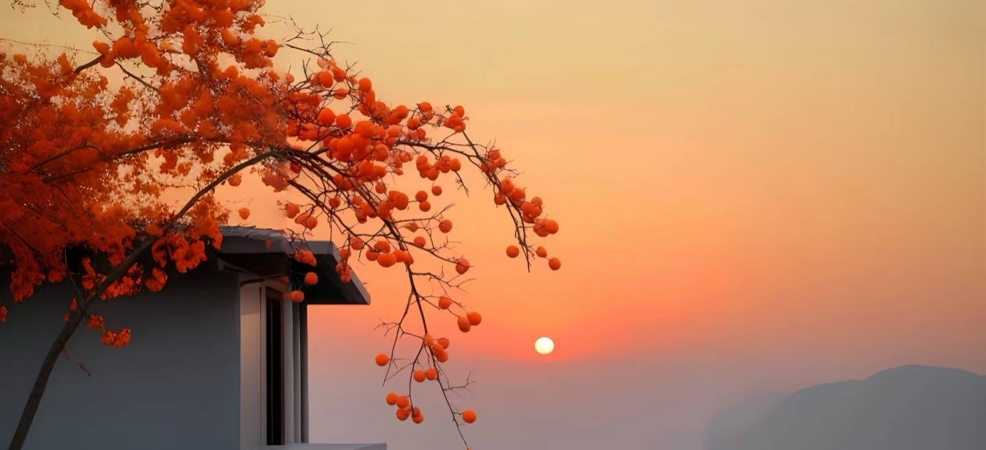 都是抑郁症，证证却不同！