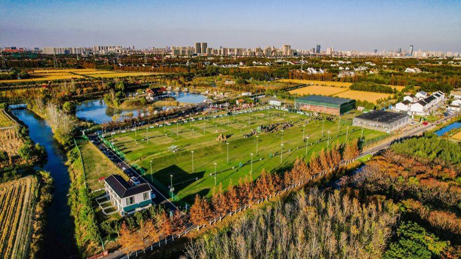 稻浪间的艺术盛宴，奉贤“摩登田野”奏响乡村共生新乐章