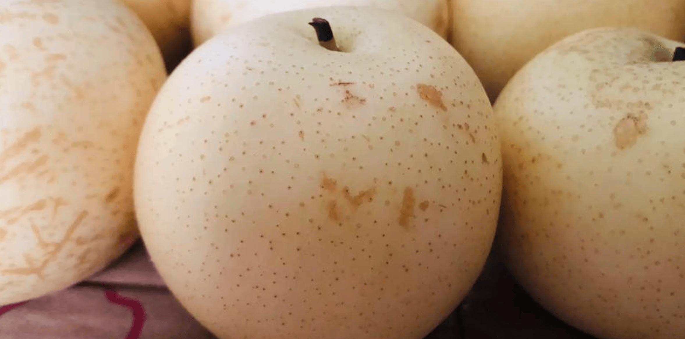 秋天煮水果超合适！温和滋补降凉性，全家吃着都受益