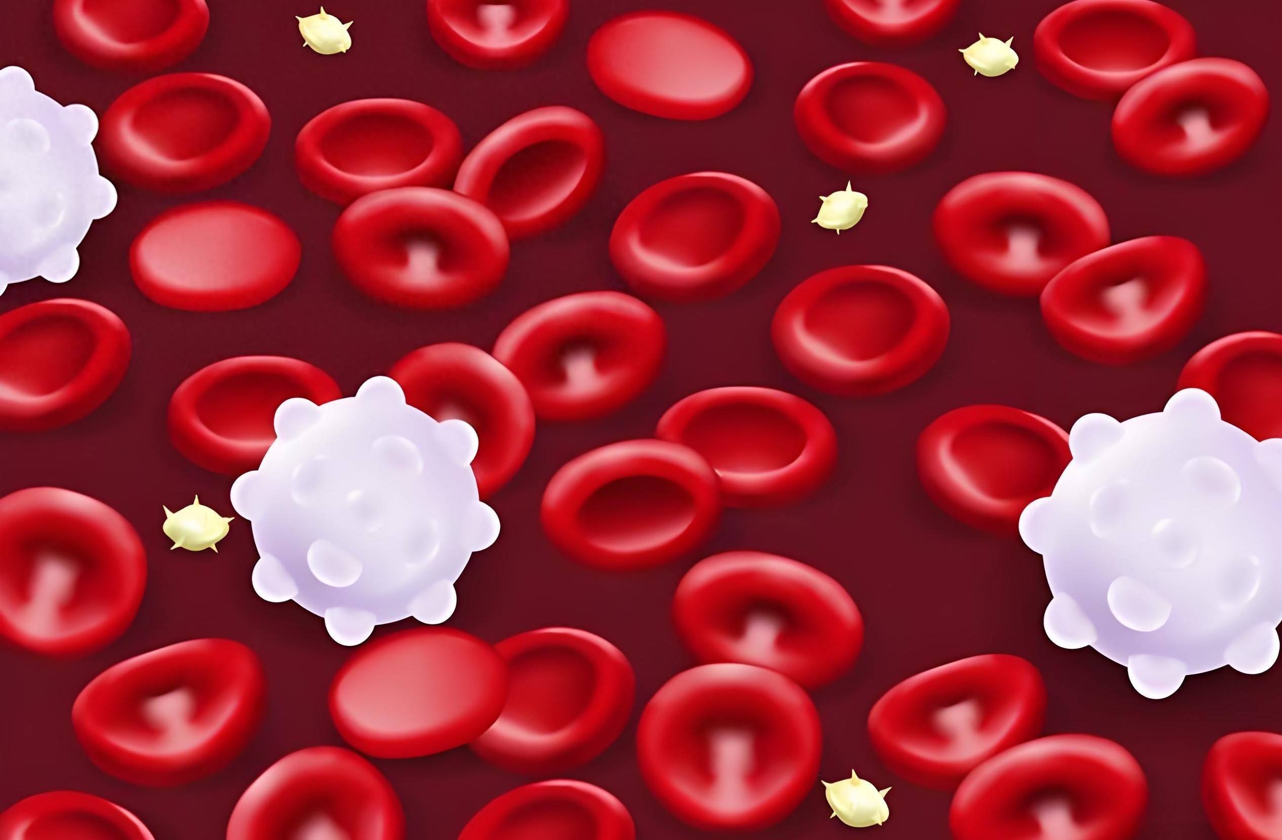 认识白血病：从免疫卫士到致命叛军的病变之旅