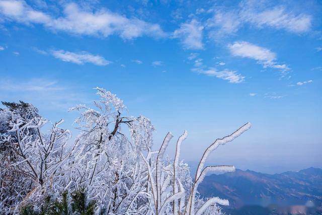 这4种自带“阳气”的菜，不论男女，一周换着吃，强肾补气好过冬
