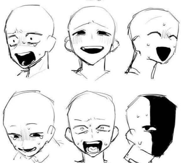 数字绘画入门必看！绘途Procreate教学全解析