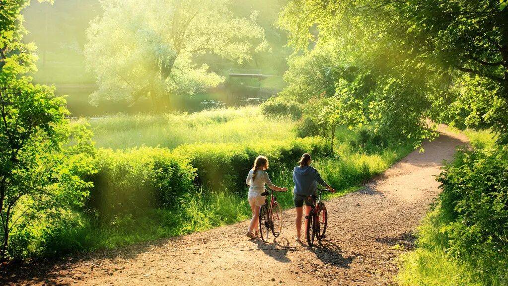 香蕉竟是放射性很强的水果，经常吃会致癌？这3类人确实要少吃