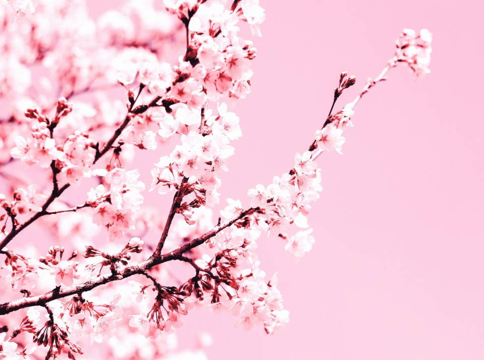 原创            因为一件2000的婚纱，我和男友6年感情结束：婚前就不舍得给你花钱的男人，要不得