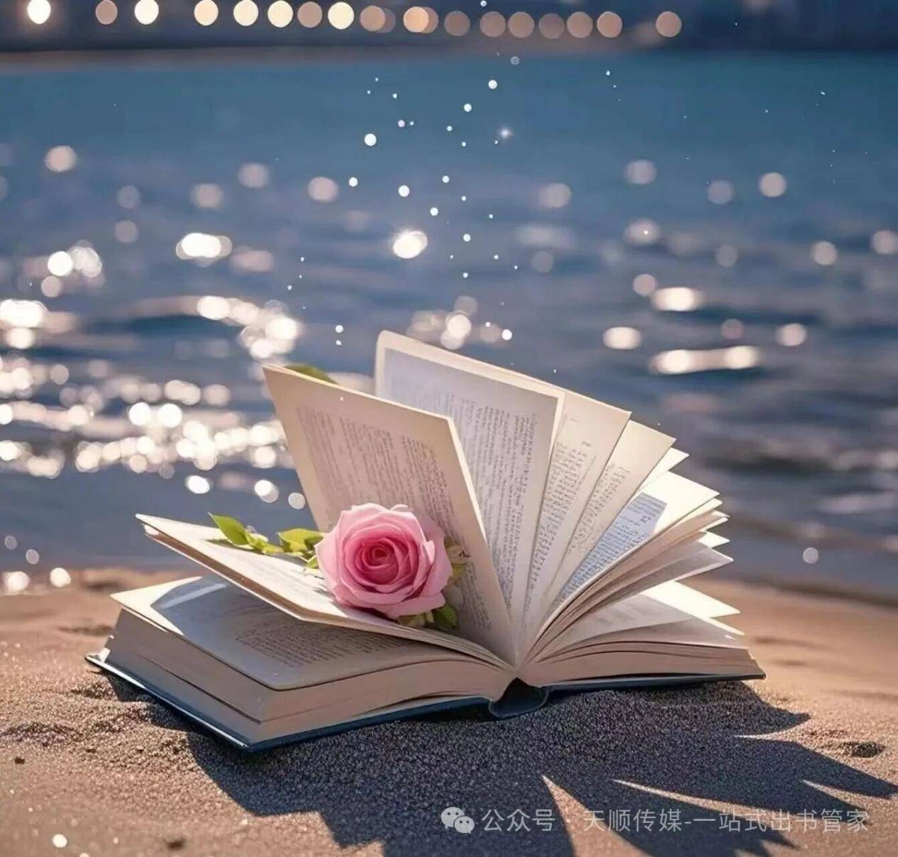 北京天顺传媒：书籍出版条件解读