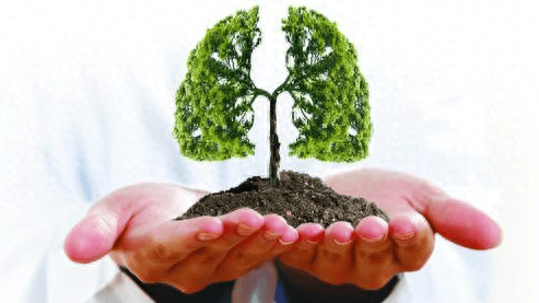 大多数人不知道的“丝瓜肺”，这种病的死亡率竟高于大多数癌症