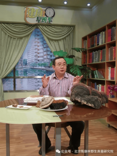 陈康林野生药用真菌医学体系研究应用：非药物疗法对糖尿病慢性并发症的作用